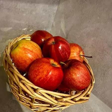 Centrum, Miejsce Parkingowe W Cenie * Warsaw